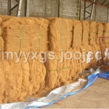 藁城市祥云日用品厂 专业生产椰棕不沾油锅刷与猪鬃日用品